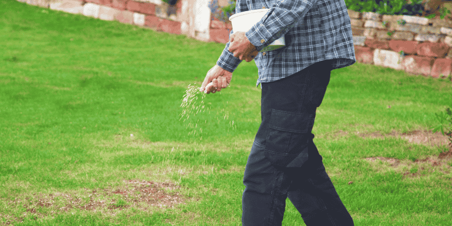 [Experts Opinion] What is the Best Lawn Fertilization Schedule with Chart