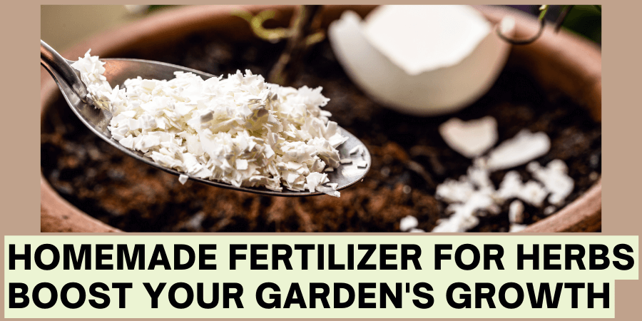 Homemade Fertilizer for Herbs Boost Your Garden's Growth